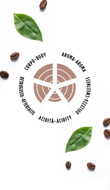 Lavazza Tierra Selection Espresso 1 Kg Çekirdek Kahve – Coffee Co.